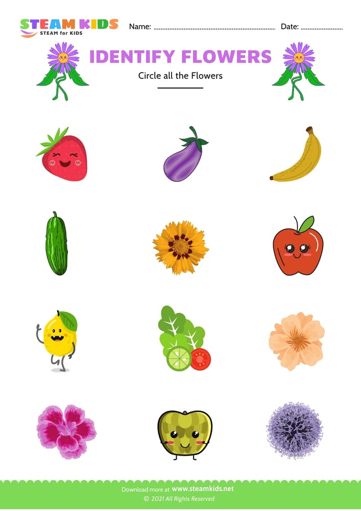 Free Science Worksheet - Identify flower - Worksheet 4