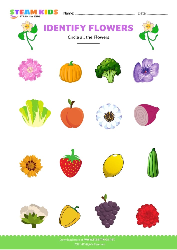 Free Science Worksheet - Identify flower - Worksheet 10