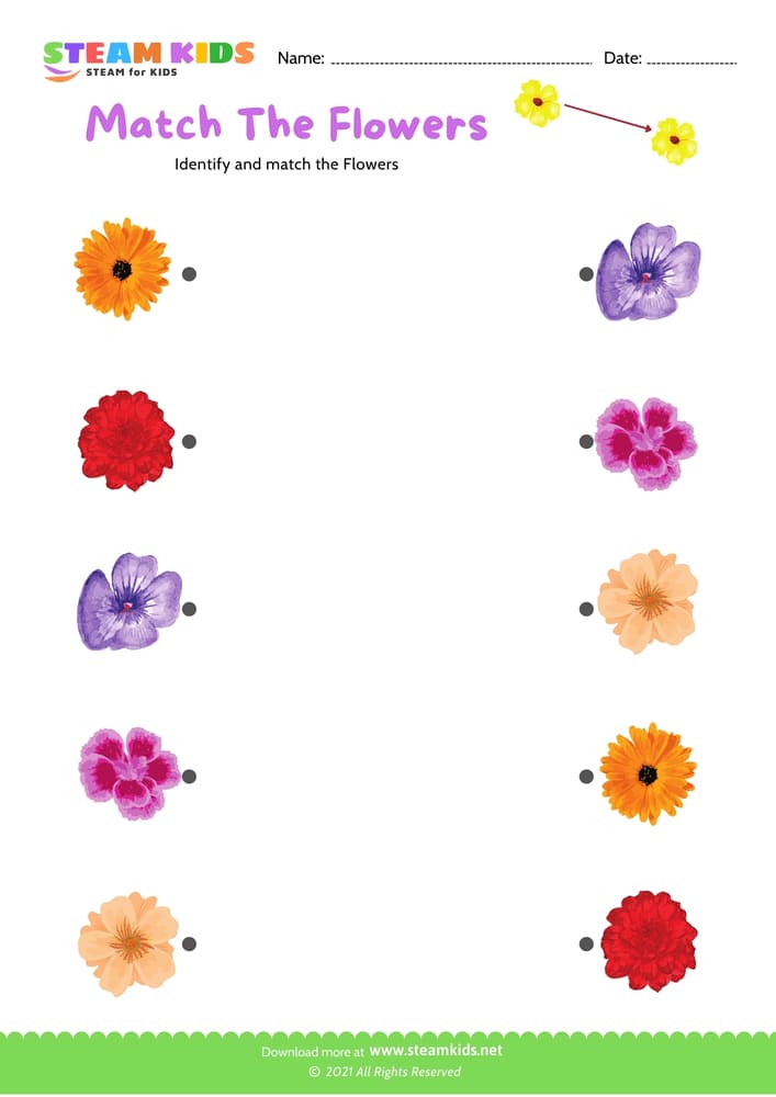 Free Science Worksheet - Match the flowers - Worksheet 1