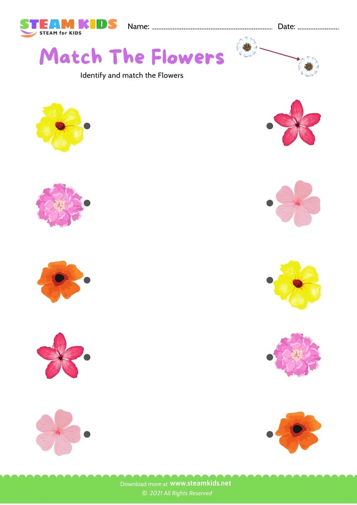 Free Science Worksheet - Match the flowers - Worksheet 2