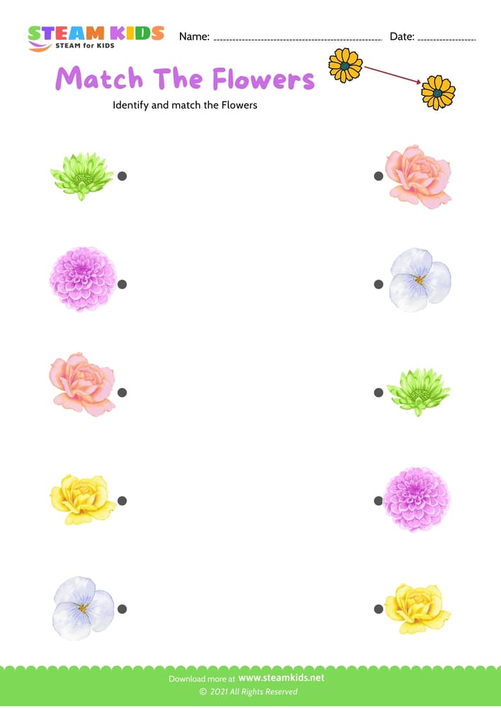 Free Science Worksheet - Match the flowers - Worksheet 4