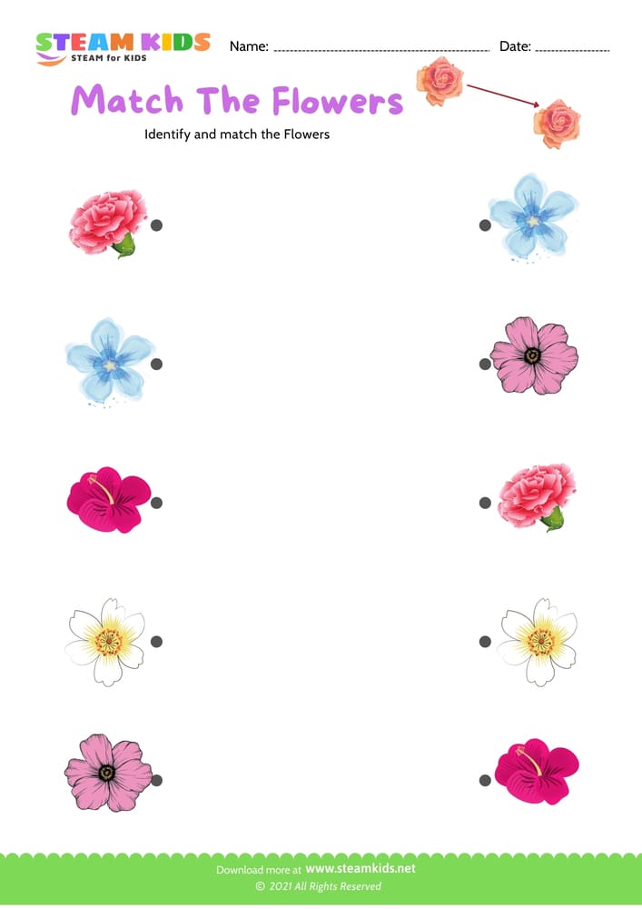 Free Science Worksheet - Match the flowers - Worksheet 5