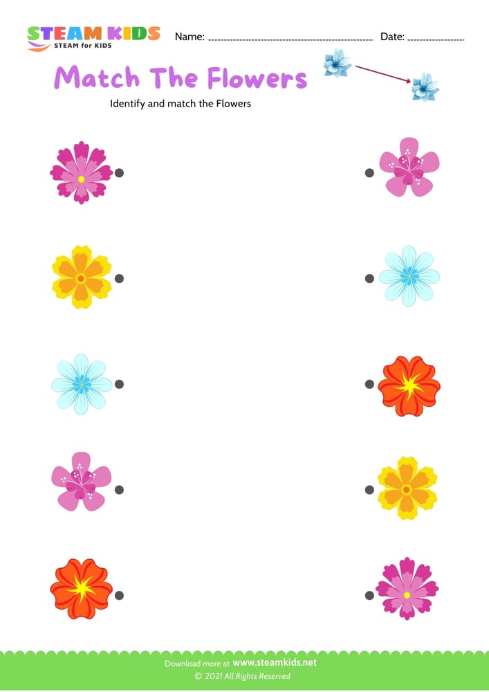 Free Science Worksheet - Match the flowers - Worksheet 6