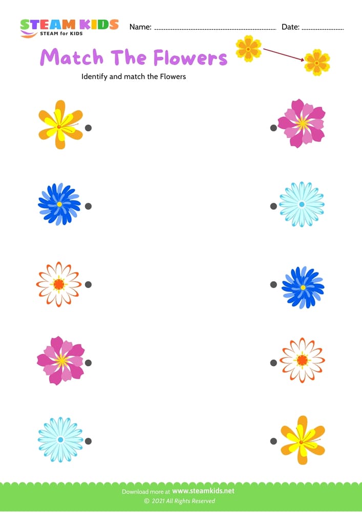 Free Science Worksheet - Match the flowers - Worksheet 7