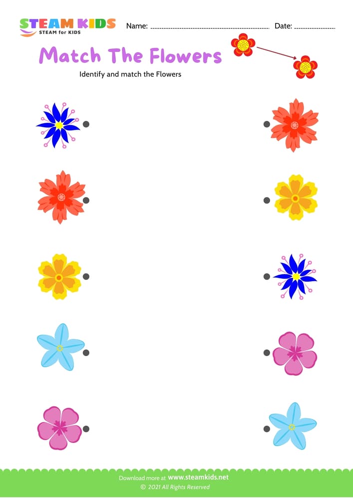 Free Science Worksheet - Match the flowers - Worksheet 8