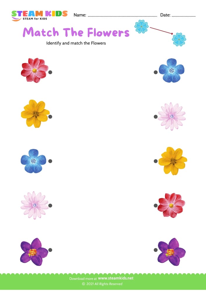 Free Science Worksheet - Match the flowers - Worksheet 9