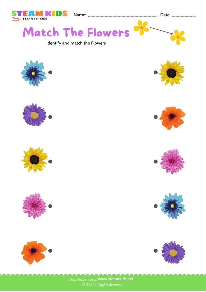 Free Science Worksheet - Match the flowers - Worksheet 10