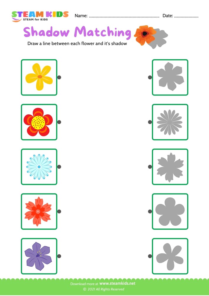 Free Science Worksheet - Identify flower - Worksheet 17