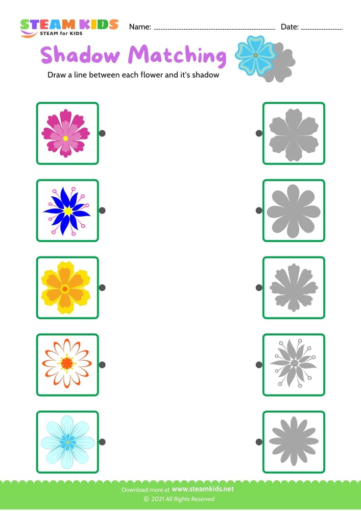 Free Science Worksheet - Identify flower - Worksheet 18