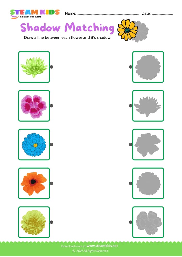 Free Science Worksheet - Identify flower - Worksheet 19