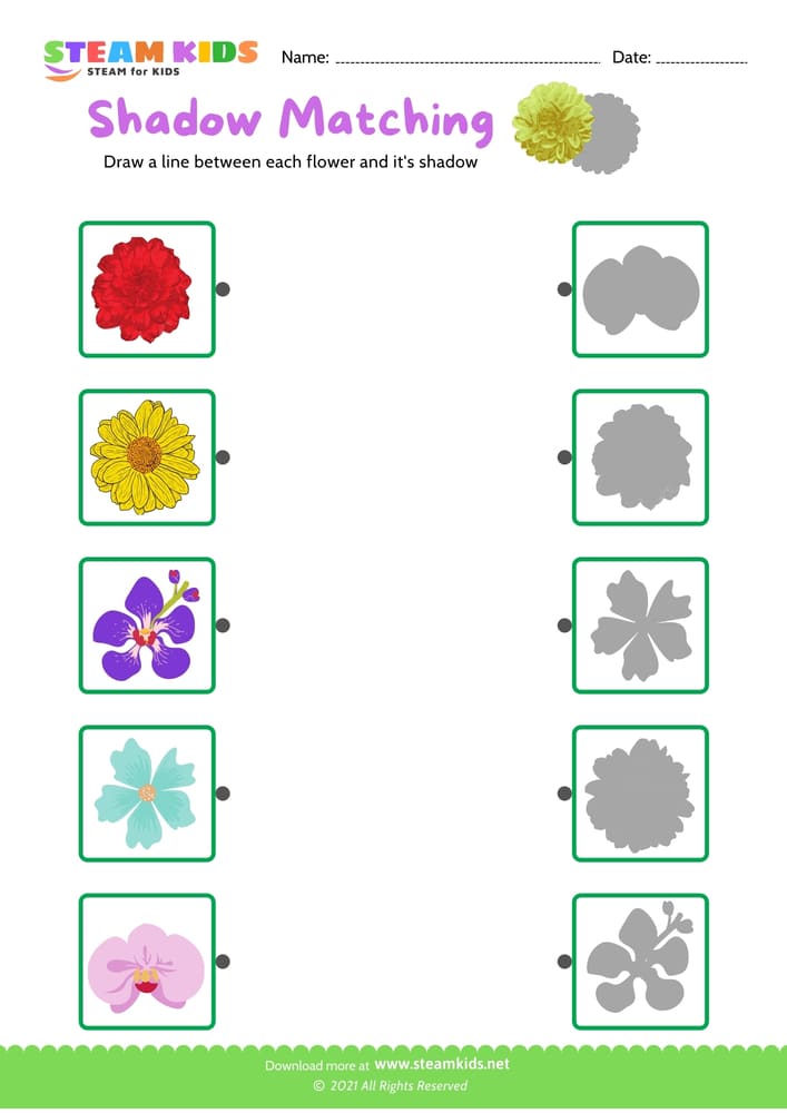 Free Science Worksheet - Identify flower - Worksheet 20