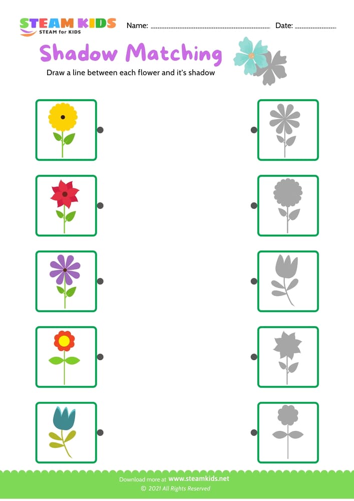 Free Science Worksheet - Identify flower - Worksheet 21