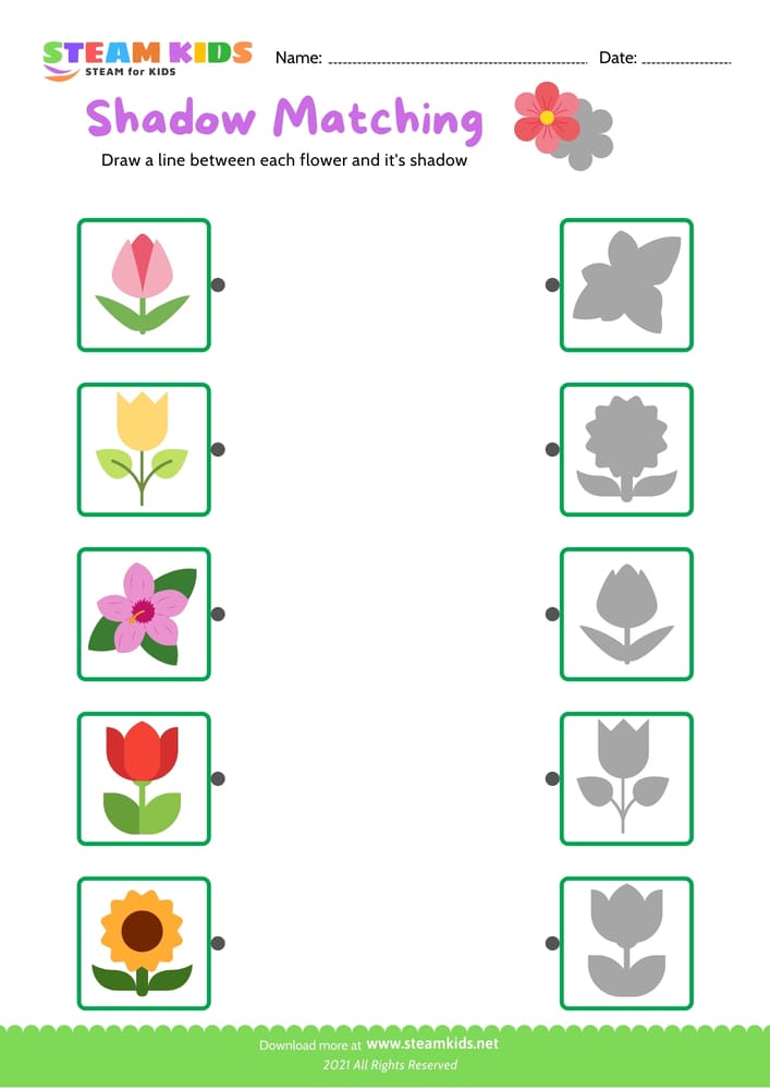 Free Science Worksheet - Identify flower - Worksheet 22