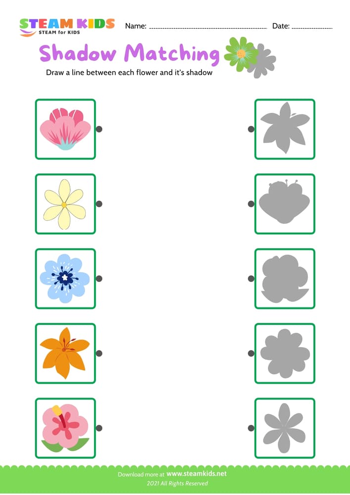 Free Science Worksheet - Identify flower - Worksheet 23