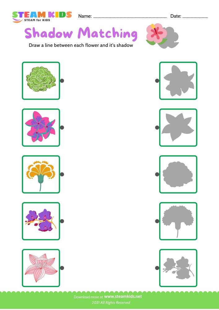 Free Science Worksheet - Identify flower - Worksheet 24