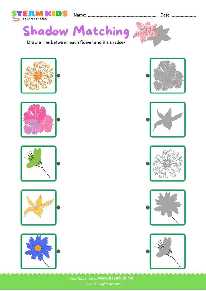 Free Science Worksheet - Identify flower - Worksheet 25