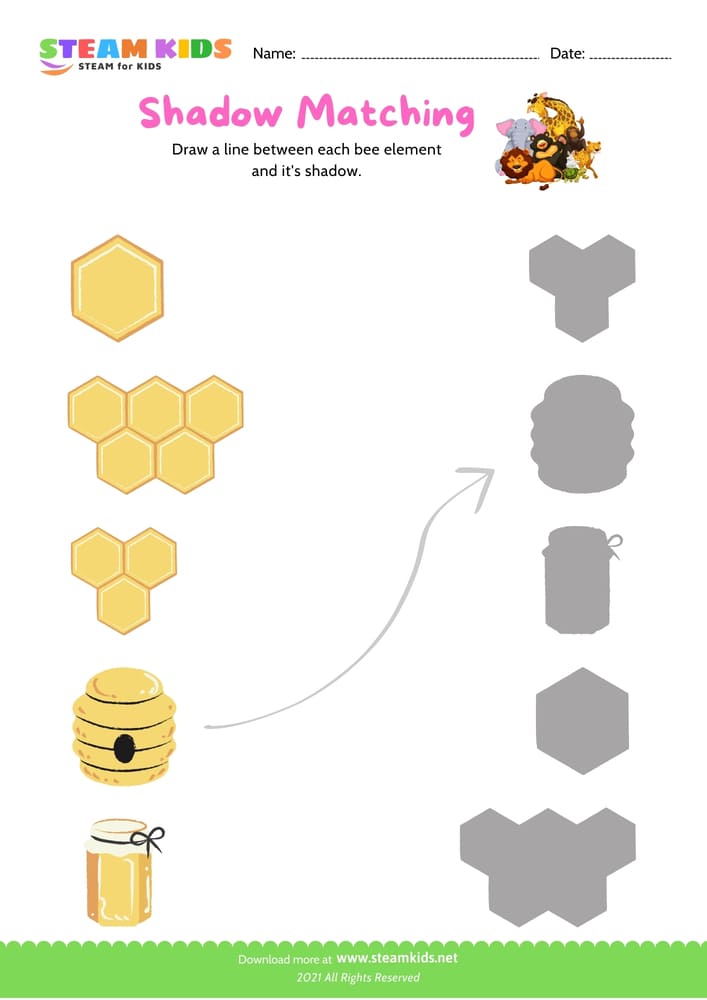 Free Science Worksheet - Matching - Worksheet 6