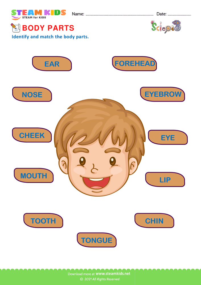 Free Science Worksheet - Body Parts - Worksheet 3