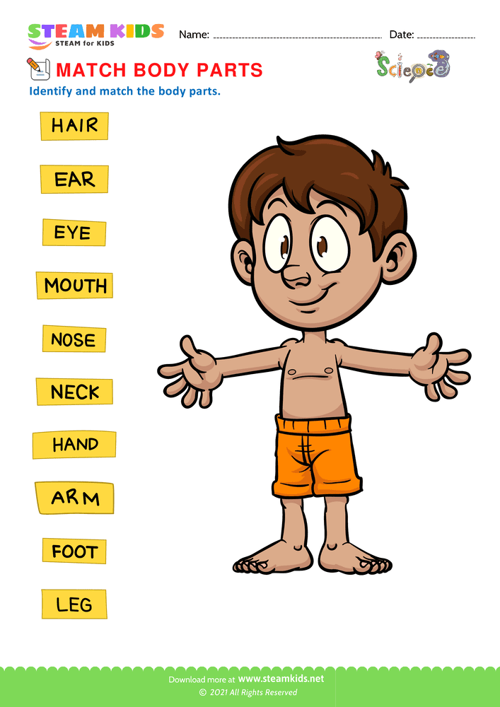 Free Science Worksheet - Body Parts - Worksheet 1 - STEAM KIDS