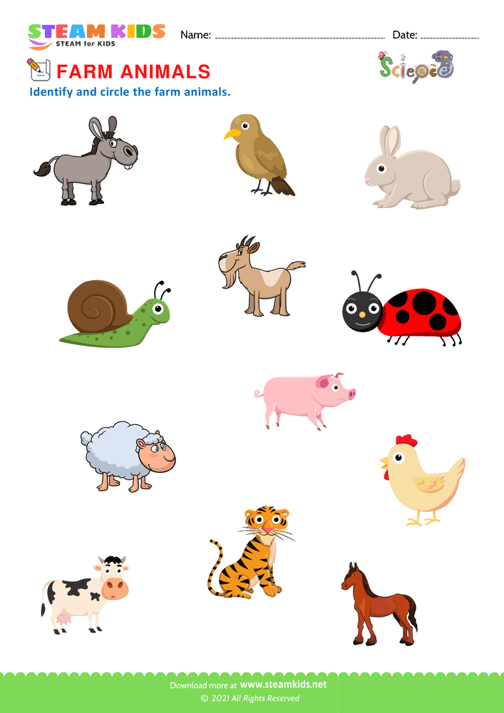 Free Science Worksheet - Farm Animals