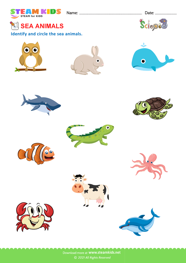 Free Science Worksheet - Sea Animals