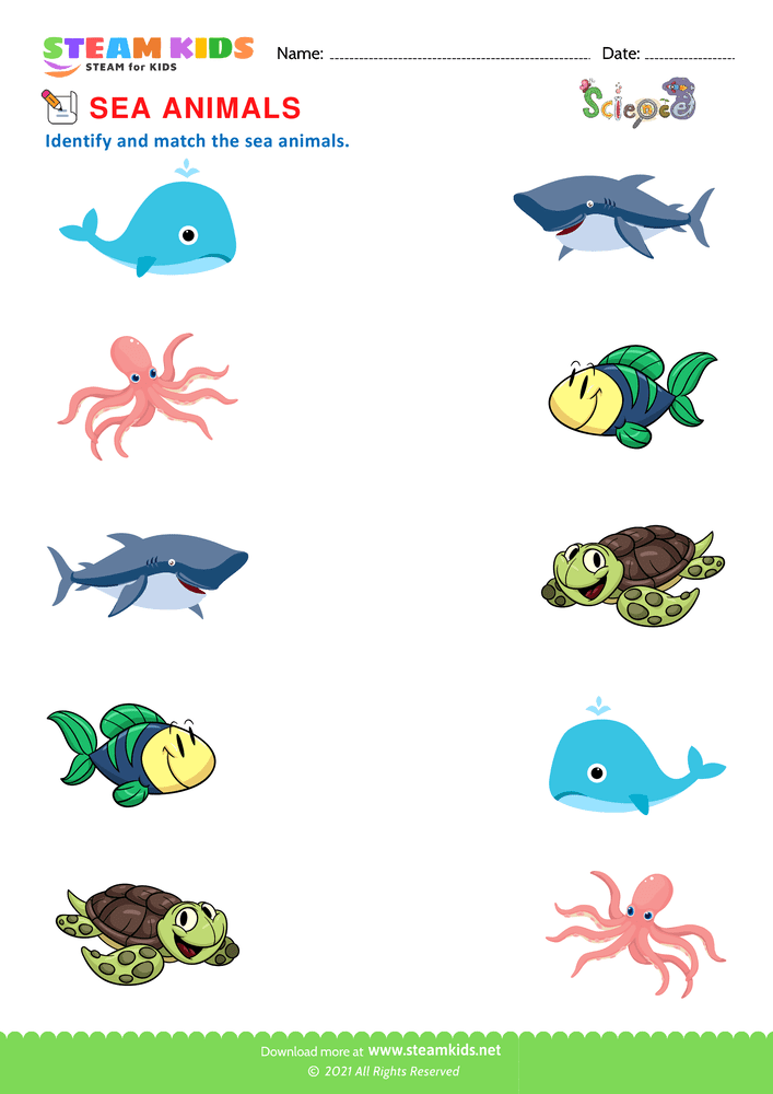 Free Science Worksheet - Sea Animals - Worksheet 1