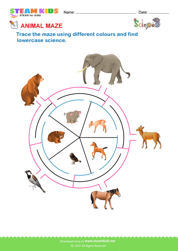Free Science Worksheet - Animal Maze 2