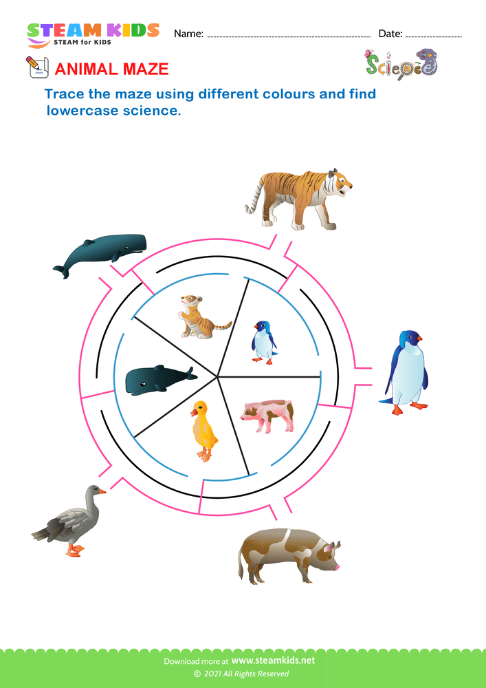 Free Science Worksheet - Animal Maze 1