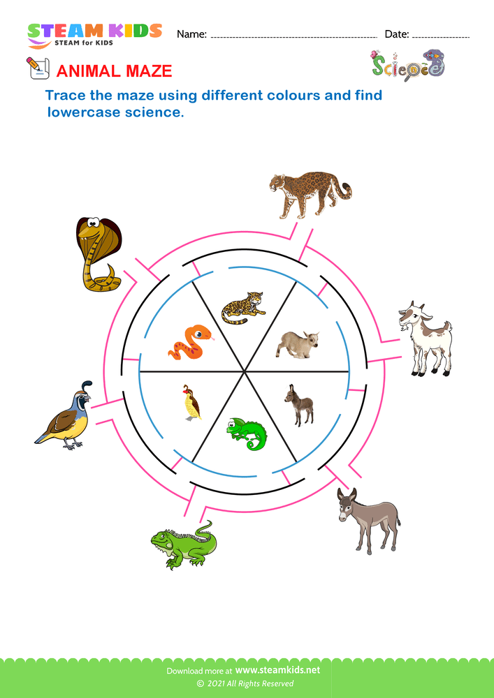 Free Science Worksheet - Animal Maze 5