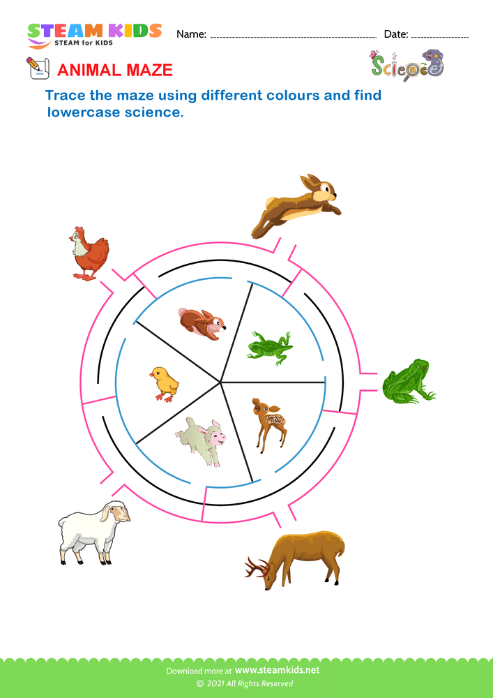 Free Science Worksheet - Animal Maze 3