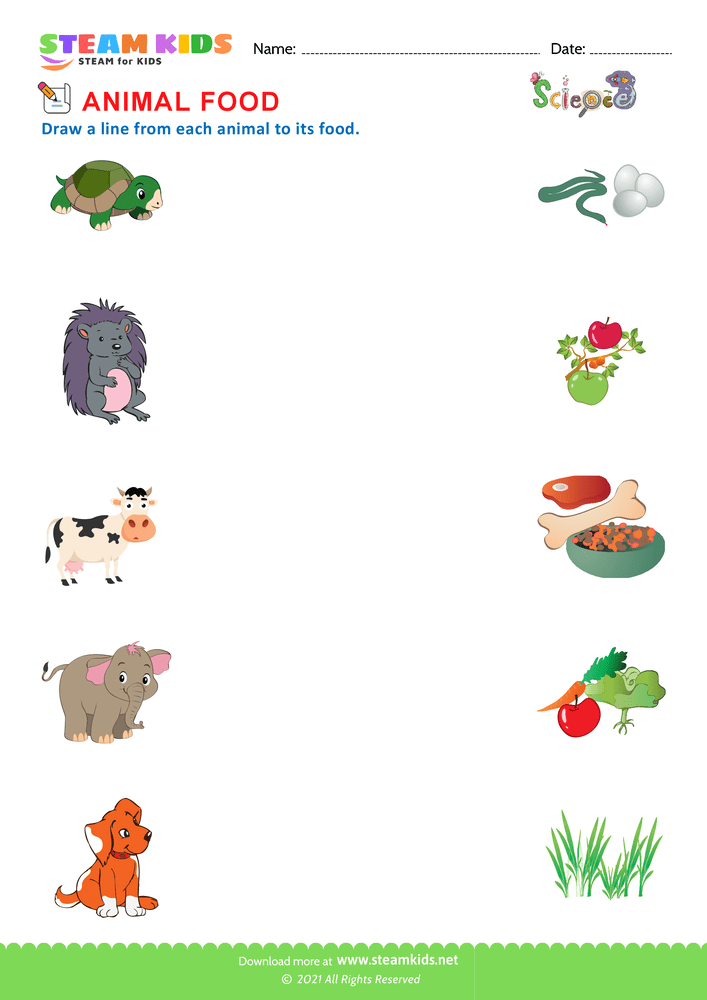 Free Science Worksheet - Animal Food - Worksheet 1