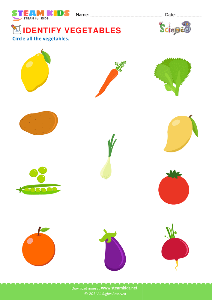 Free Science Worksheet - Identify Vegetables - Worksheet 6