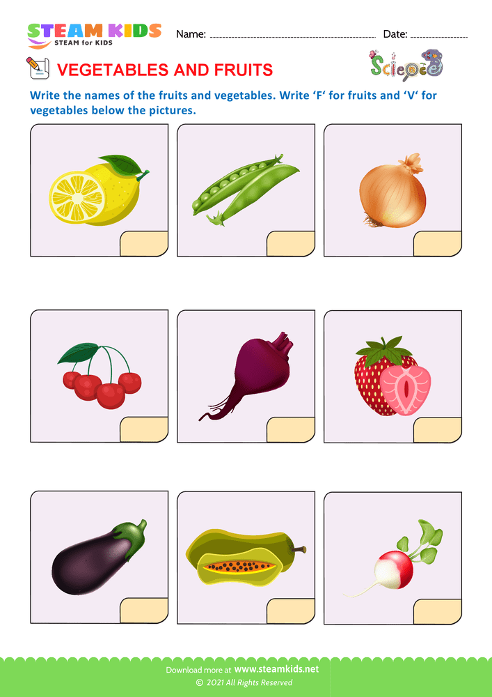 Free Science Worksheet - Identify Fruits - Worksheet 5