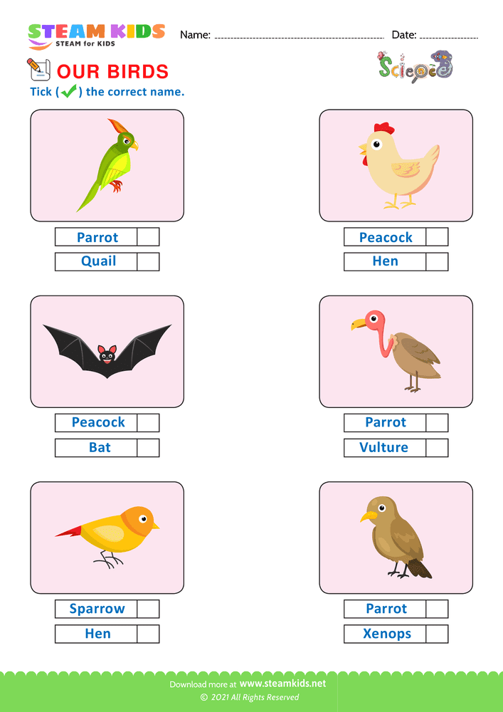 Free Science Worksheet - Identify Birds - Worksheet 3