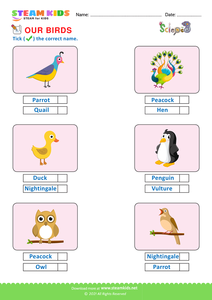 Free Science Worksheet - Identify Birds - Worksheet 4