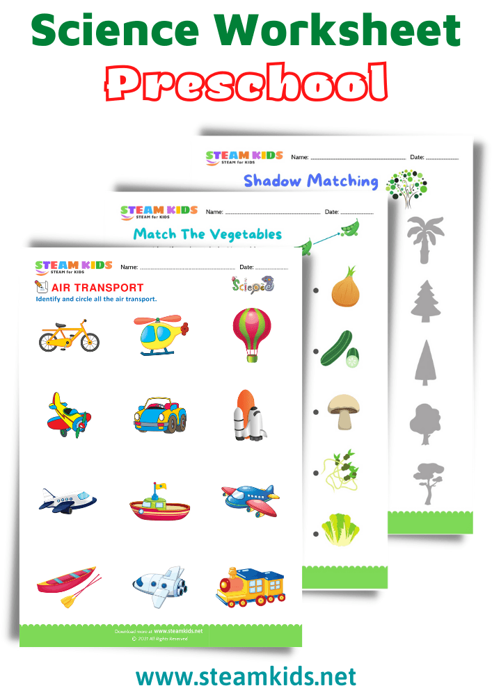 Science Worksheets For Preschool