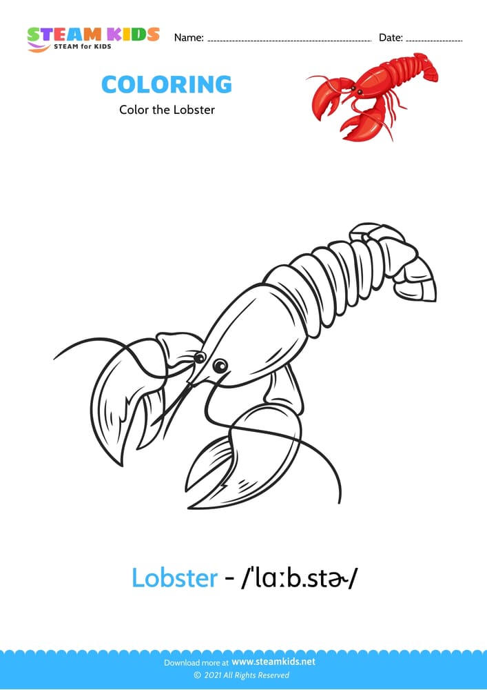 Free Coloring Worksheet - Color the Lobster - STEAM KIDS