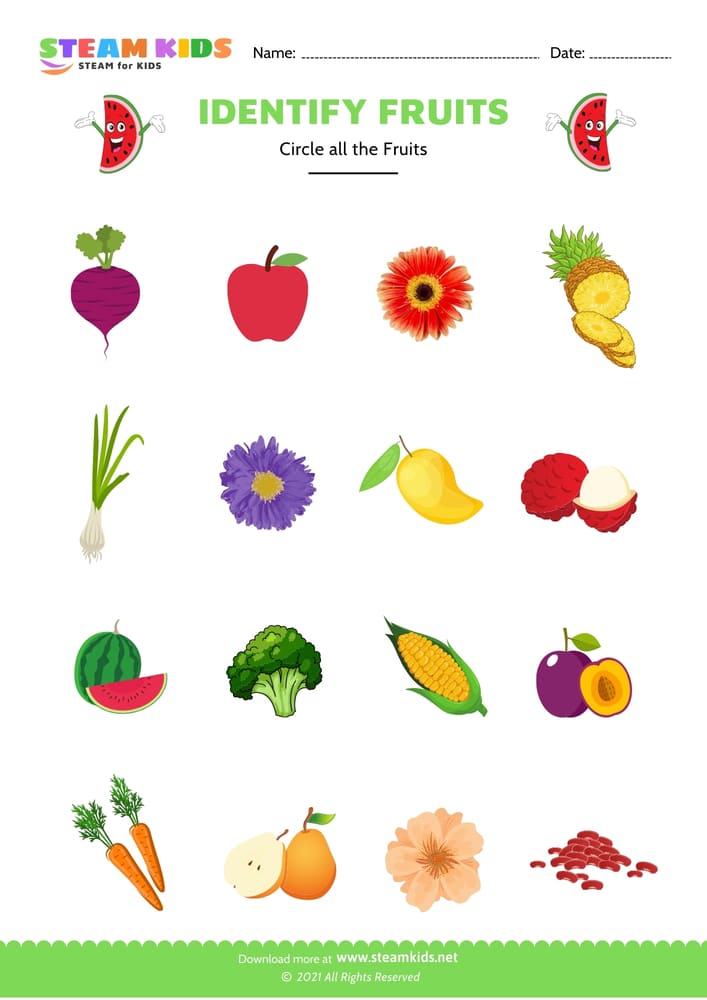 Free Science Worksheet - Identify fruit - Worksheet 3