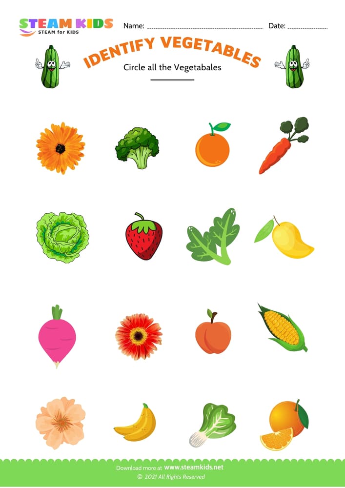 Free Science Worksheet - Identify vegetable - Worksheet 3