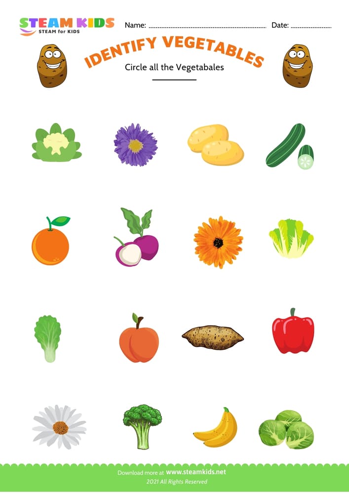 Free Science Worksheet - Identify vegetable - Worksheet 5