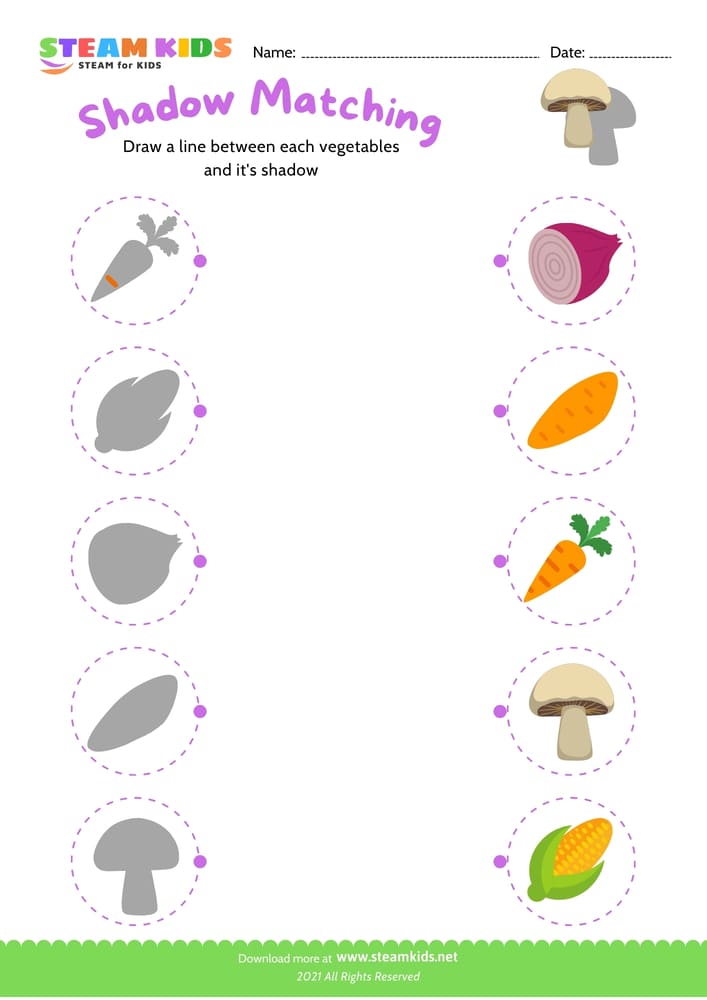 Free Science Worksheet - Identify vegetable - Worksheet 7