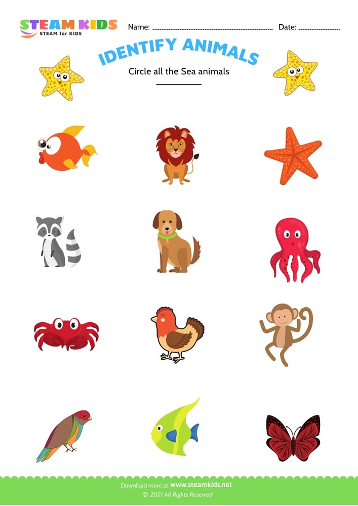 Free Science Worksheet - Identify animal - Worksheet 1