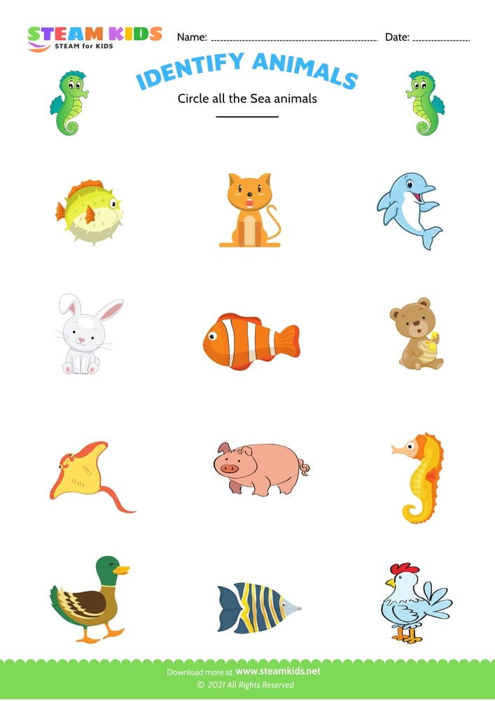 Free Science Worksheet - Identify animal - Worksheet 1