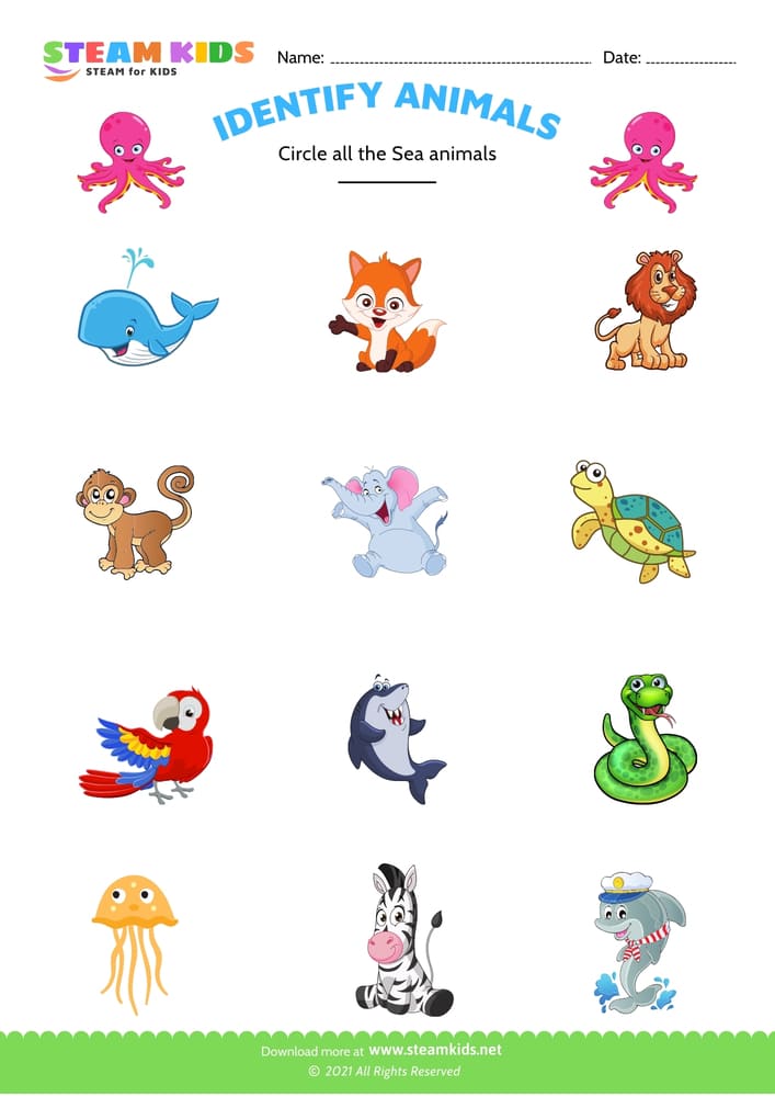 Free Science Worksheet - Identify animal - Worksheet 2