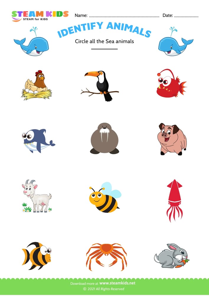 Free Science Worksheet - Identify animal - Worksheet 2