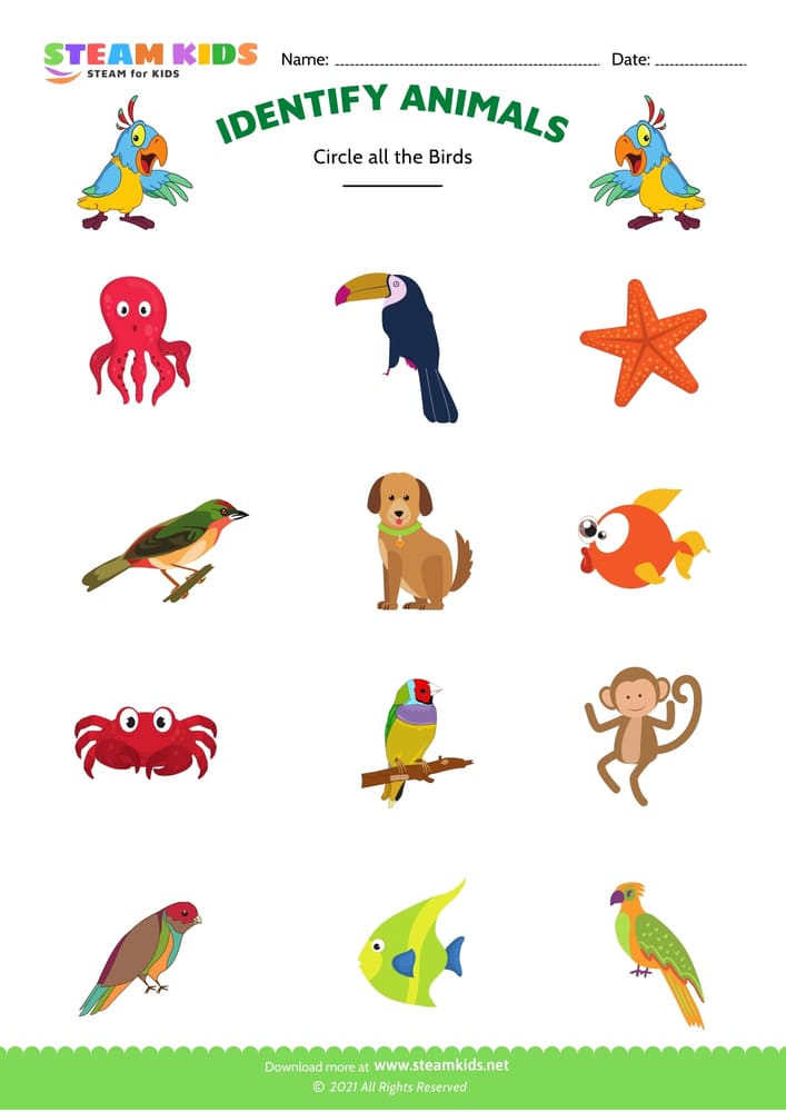 Free Science Worksheet - Identify animal - Worksheet 3