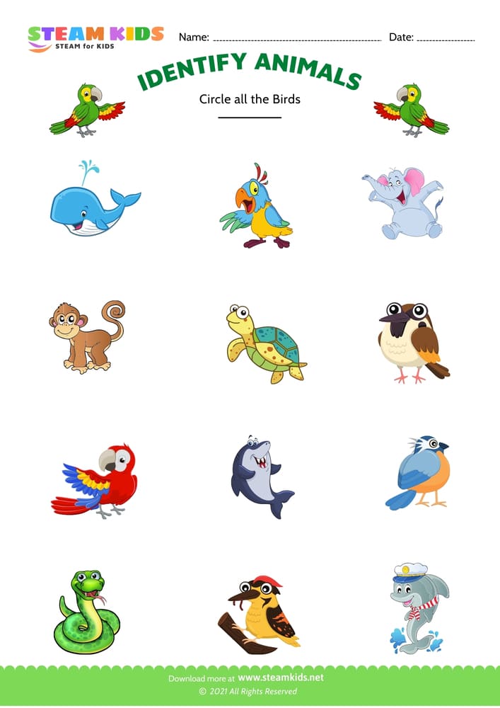 Free Science Worksheet - Identify animal - Worksheet 4