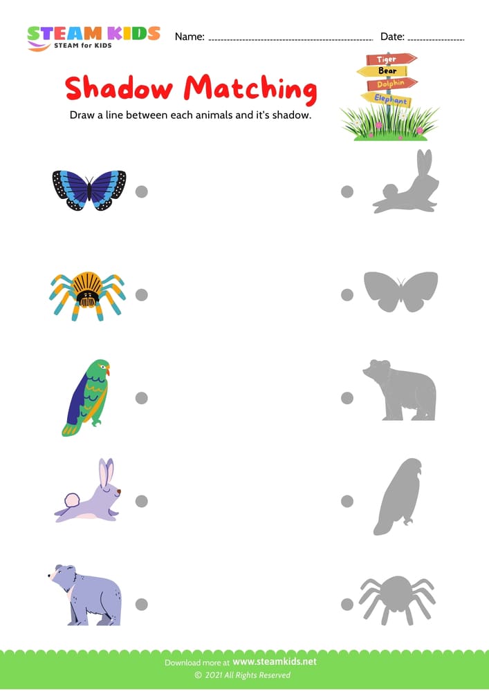 Free Science Worksheet - Identify animal - Worksheet 6