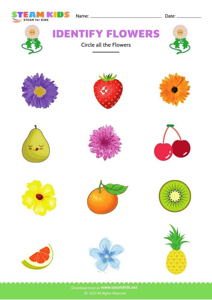 Free Science Worksheet - Identify flower - Worksheet 1