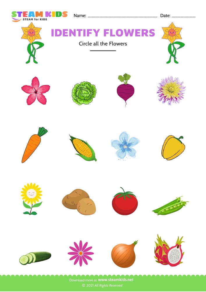 Free Science Worksheet - Identify flower - Worksheet 9